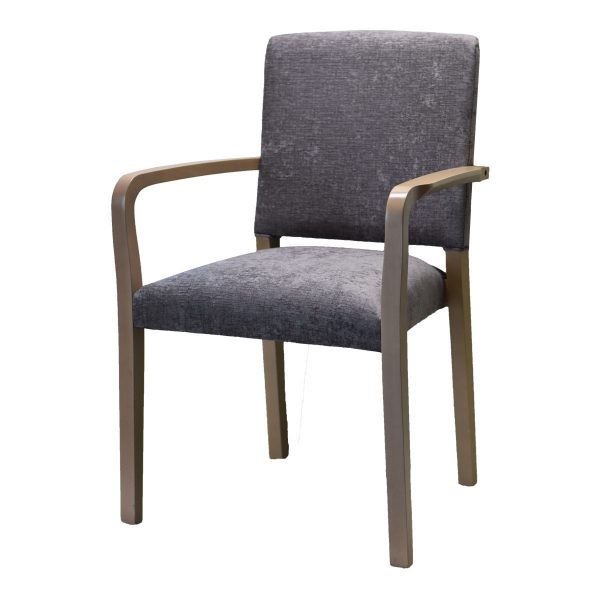 Baltimore Armchair - Sydney Aged Care and Health Care Furniture​